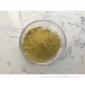 Bulk 98% Fisetin Supplement Powder